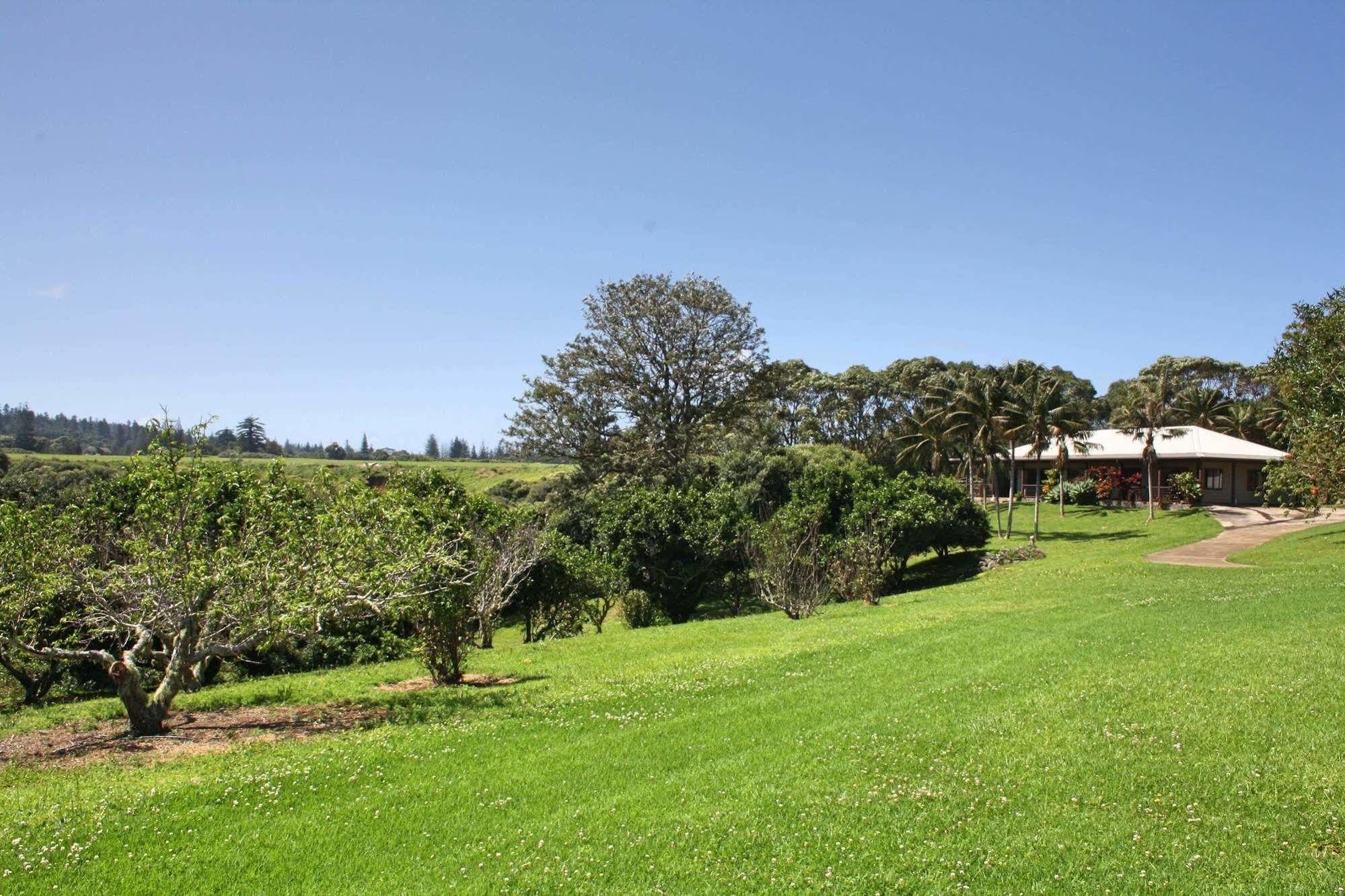 ホテルTau Gardens Norfolk Island エクステリア 写真